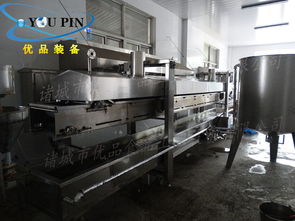 诸城优品工厂直销 节能型油炸机，打造休闲食品新标杆